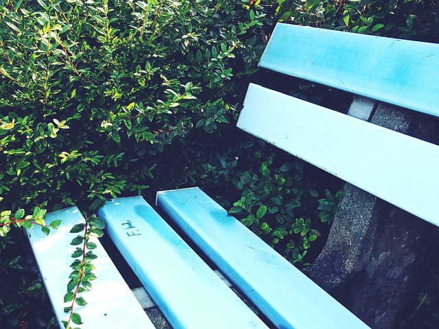 的比賽中 的比賽中