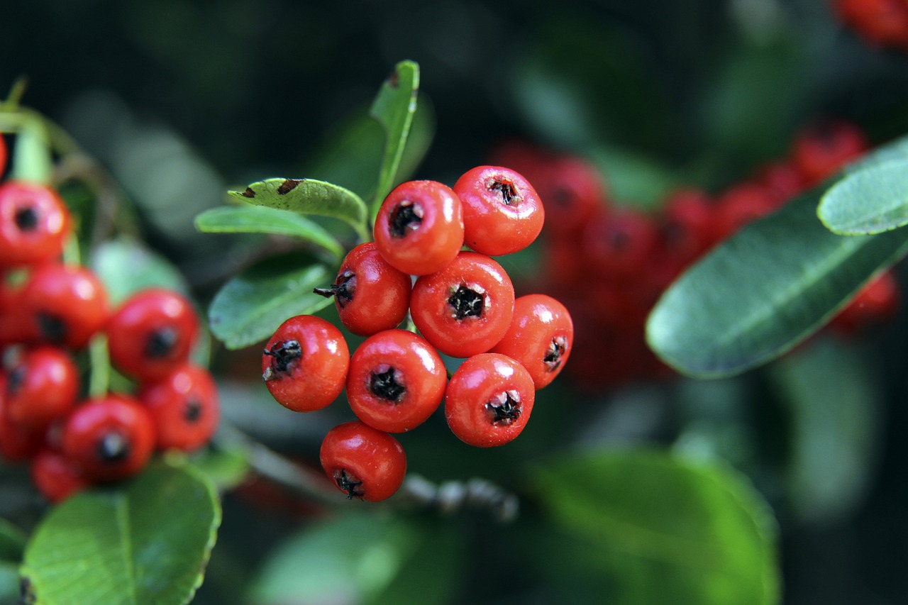 不仅展现了 不仅展现了