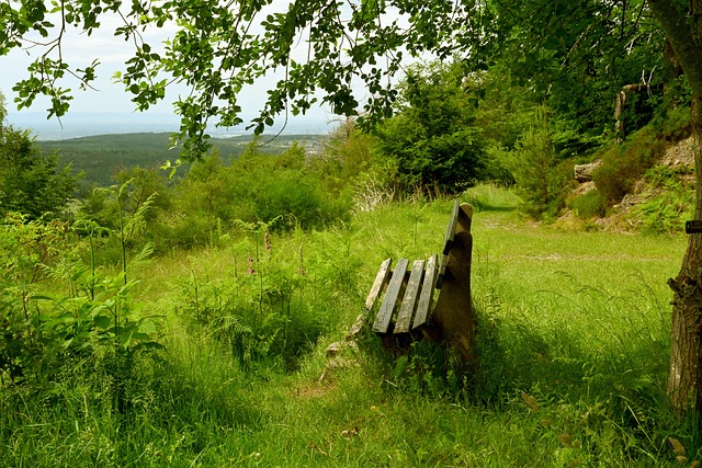 英超聯賽的 英超聯賽的