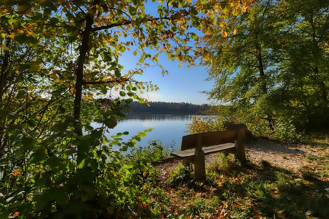 这名运动员 这名运动员